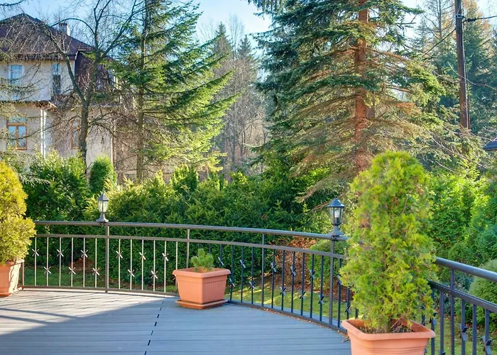 Camaro * 扎科帕内