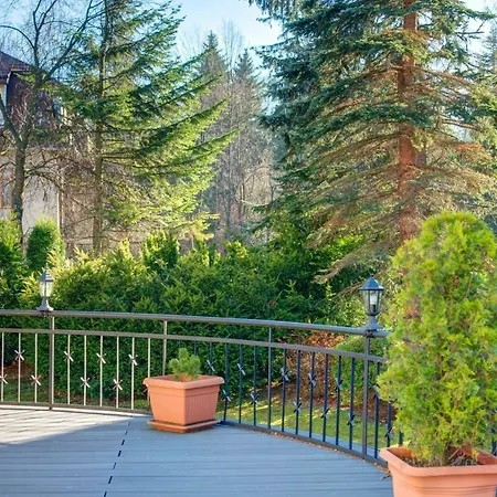 Camaro * ザコパネ